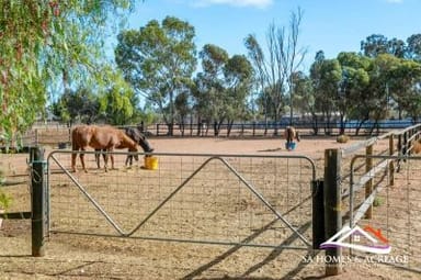 Property 11 Reed Road, Hillier SA 5116 IMAGE 0