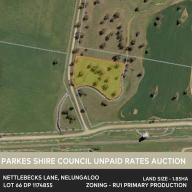 Property Nelungaloo Road, Nelungaloo NSW 2876 IMAGE 0