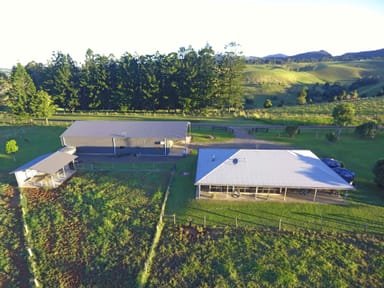 Property 210 Pheasant Road, Millaa Millaa QLD 4886 IMAGE 0