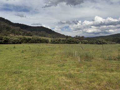 Property "Wylua" Trevallyn Road, UPPER HORTON NSW 2347 IMAGE 0