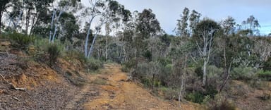 Property 266 Strawberry Creek Road, WINDELLAMA NSW 2580 IMAGE 0