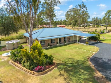 Property 16 Cockatoo Drive, Adare QLD 4343 IMAGE 0