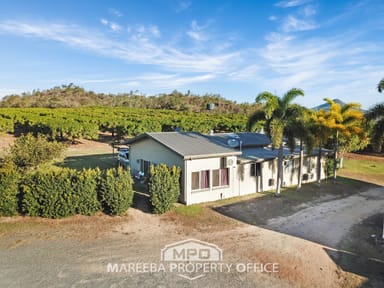 Property 1151 Leafgold Weir Road, DIMBULAH QLD 4872 IMAGE 0