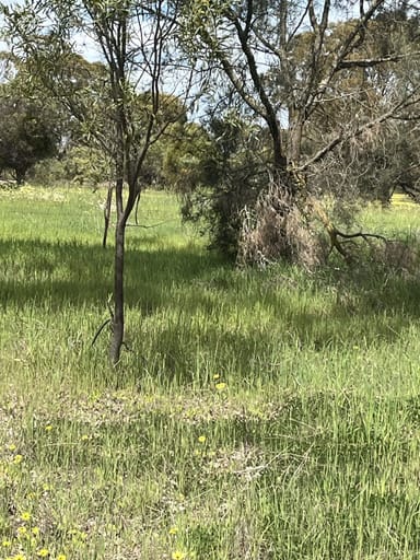 Property Lot 14438 & 14439 Yarramony Road, Jennacubbine WA 6401 IMAGE 0