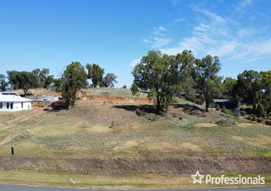 Property 32 Matilda Crescent, Gumly Gumly NSW 2652 IMAGE 0