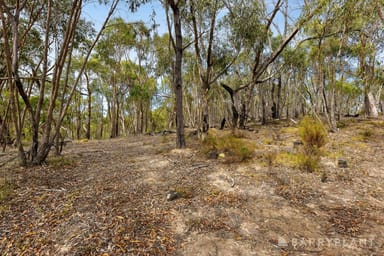 Property 175 Old Kinglake Road, Steels Creek VIC 3775 IMAGE 0