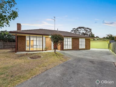 Property 19 Phelan Drive, Cranbourne North VIC 3977 IMAGE 0