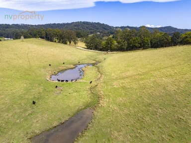 Property Lot12, 938 Wilson  Road, Congarinni North NSW 2447 IMAGE 0