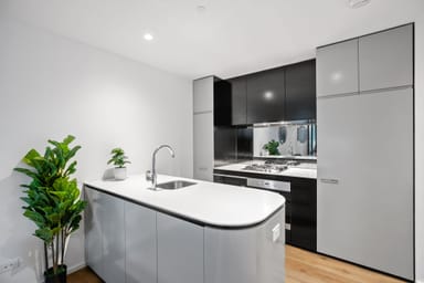 Property 203/241 Oxford Street, Bondi Junction NSW 2022 IMAGE 0