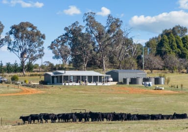 Property "Hilltops" 262 Cooringle Road Nubba, Via, Harden NSW 2587 IMAGE 0