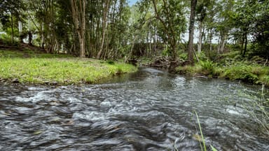 Property 884 Bellangry Rd, MORTONS CREEK NSW 2446 IMAGE 0