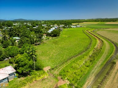 Property Lot 7 Badilla Street, HUDSON QLD 4860 IMAGE 0