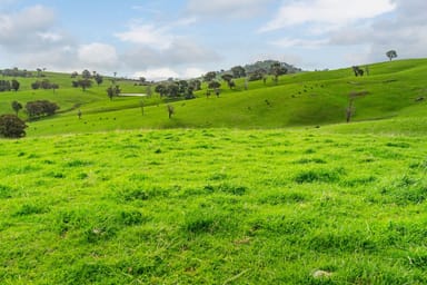 Property 242 Back Nacki Creek Road, Sharps Creek NSW 2729 IMAGE 0