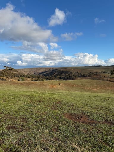 Property 499 Swans Rd, Darley VIC 3340 IMAGE 0