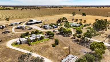 Property 377 Cannawigara Road, BORDERTOWN SA 5268 IMAGE 0