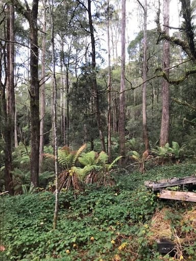 Property 2 Murchison Highway, ROSEBERY TAS 7470 IMAGE 0