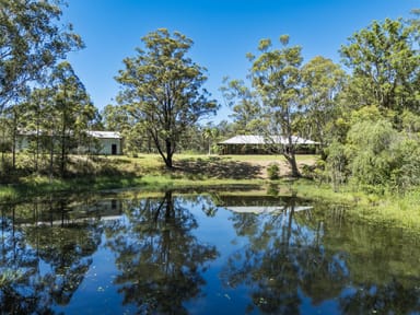 Property 134 Limeburners Creek Road, LIMEBURNERS CREEK NSW 2324 IMAGE 0