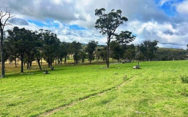 Property 1815 Hillview Rd, Uralla NSW 2358 IMAGE 0