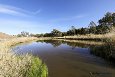 Property 32 McDiarmids Road, VIOLET TOWN VIC 3669 IMAGE 0