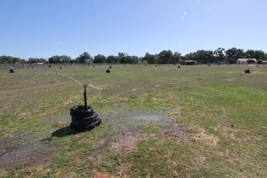 Property 68 Wilcannia-Menindee Road, Menindee NSW 2879 IMAGE 0