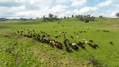 Property 75 Blush Road, GUYRA NSW 2365 IMAGE 0