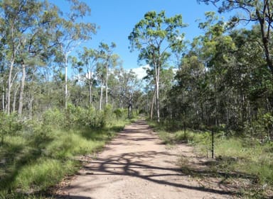 Property 255 Mollenhagens Road, Winfield QLD 4674 IMAGE 0