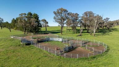 Property 2531 Niangala Road, Walcha NSW 2354 IMAGE 0