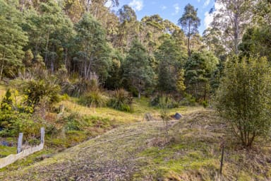Property 1, Smiths Road, NICHOLLS RIVULET TAS 7112 IMAGE 0