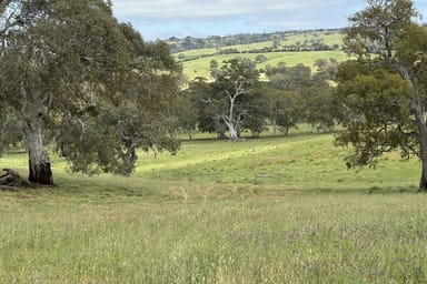 Property Lot 197 Craneford Road, Flaxman Valley SA 5235 IMAGE 0