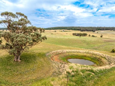 Property 516 Peabody Road, Molong NSW 2866 IMAGE 0