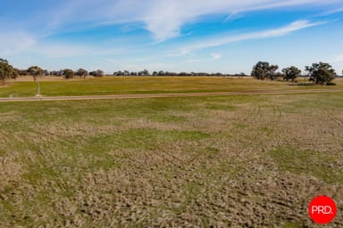 Property 295 Pethericks Road, Goornong VIC 3557 IMAGE 0