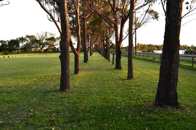 Property 312 BLACKWALL DRIVE, EAST WARDELL NSW 2477 IMAGE 0