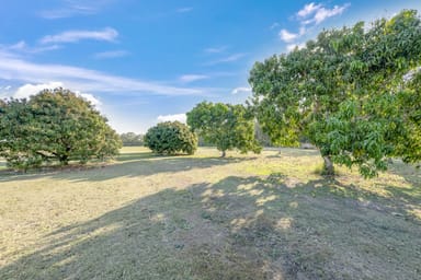 Property 49 Tagon Road, BULLYARD QLD 4671 IMAGE 0