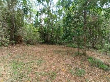 Property Lot 45 Ronald Road, Forest Creek QLD 4873 IMAGE 0