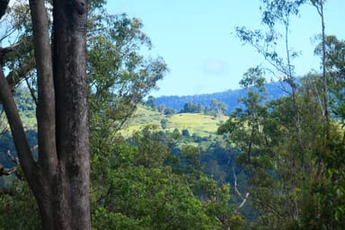 Property 146 Mills Road, Bean Creek NSW 2469 IMAGE 0