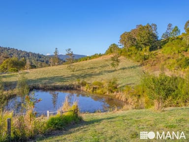 Property 20, 2981 Kyogle Road, KUNGHUR NSW 2484 IMAGE 0