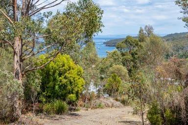 Property 21 Eagle View Road, NUBEENA TAS 7184 IMAGE 0