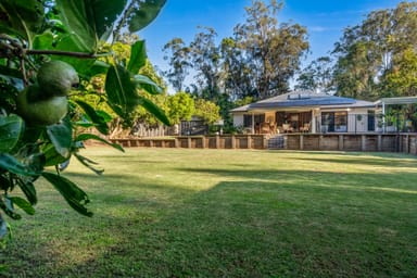 Property 233 Lindeman Road, BEERWAH QLD 4519 IMAGE 0