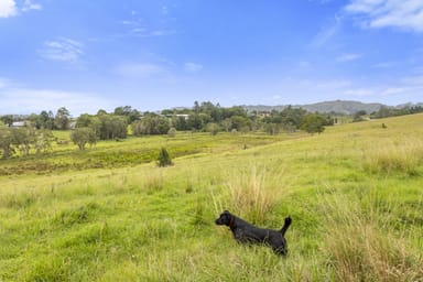 Property 204 Reserve Creek Road, Murwillumbah NSW 2484 IMAGE 0