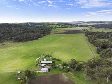 Property 117 Douglas-Plainby Road, DOUGLAS QLD 4354 IMAGE 0