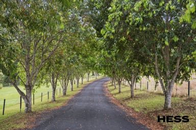 Property 280A Upper Orara Road, KARANGI NSW 2450 IMAGE 0