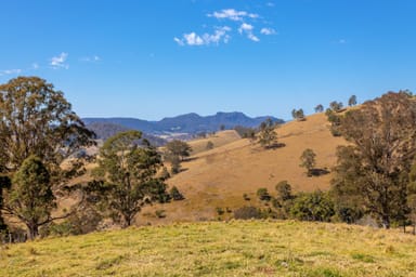 Property 590 Scone Road, Copeland NSW 2422 IMAGE 0