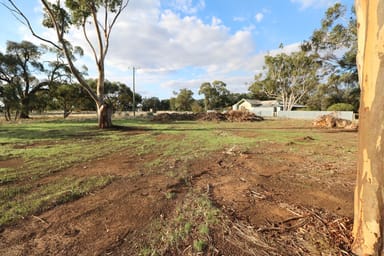 Property Crn Echuca-Serpentine & Prairie Road, Calivil VIC 3573 IMAGE 0