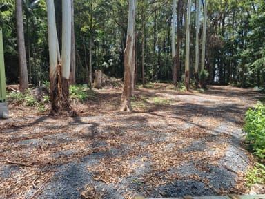 Property 11 Gwongorella Parade, SPRINGBROOK QLD 4213 IMAGE 0