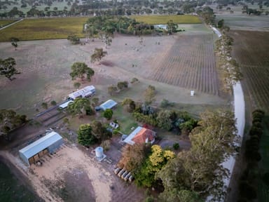 Property 437 Old Comaum Rd, Penola SA 5277 IMAGE 0