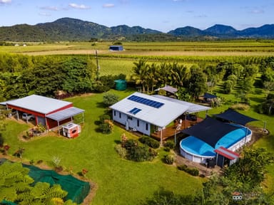 Property 17 Watson Road, Bartle Frere QLD 4861 IMAGE 0