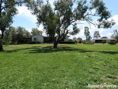 Property 84 Bundaloey Road, MOREE NSW 2400 IMAGE 0