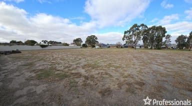 Property 100 Aramon Street, Nuriootpa SA 5355 IMAGE 0