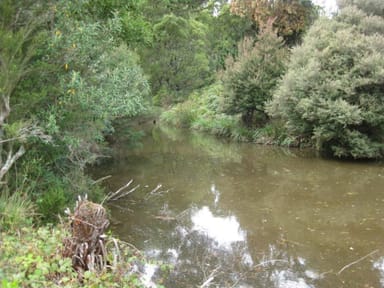 Property Lot 2 Trowutta Road, Edith Creek TAS 7330 IMAGE 0