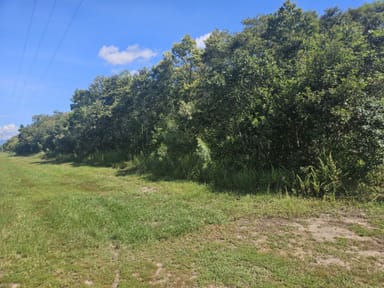 Property 25, Cassady's Beach Road, Forrest Beach QLD 4850 IMAGE 0